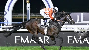 Nejdražší český kůň Ponntos zabodoval třetím místem na sprintu v Dubaji