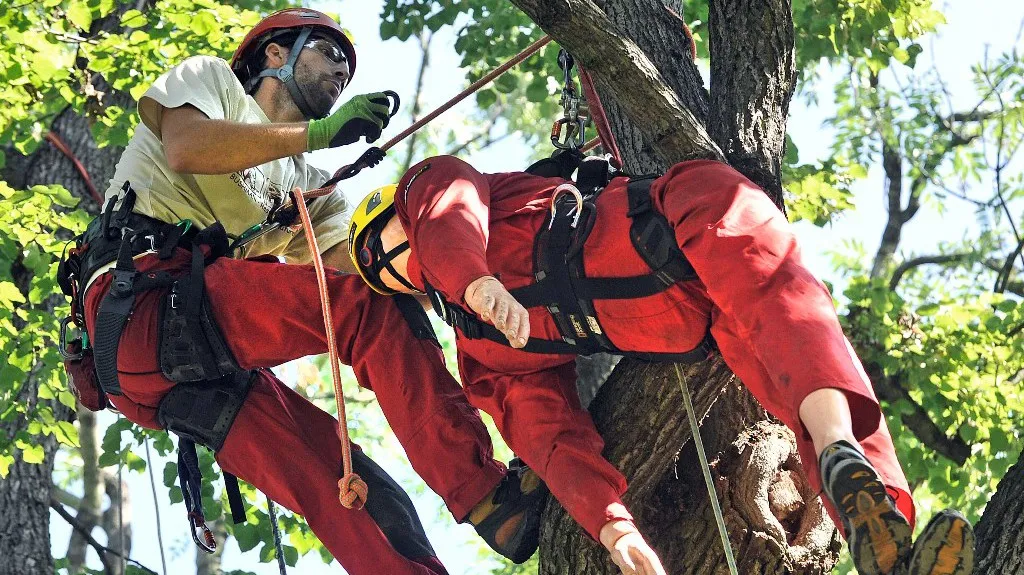 Mistrovství ČR ve stromolezení