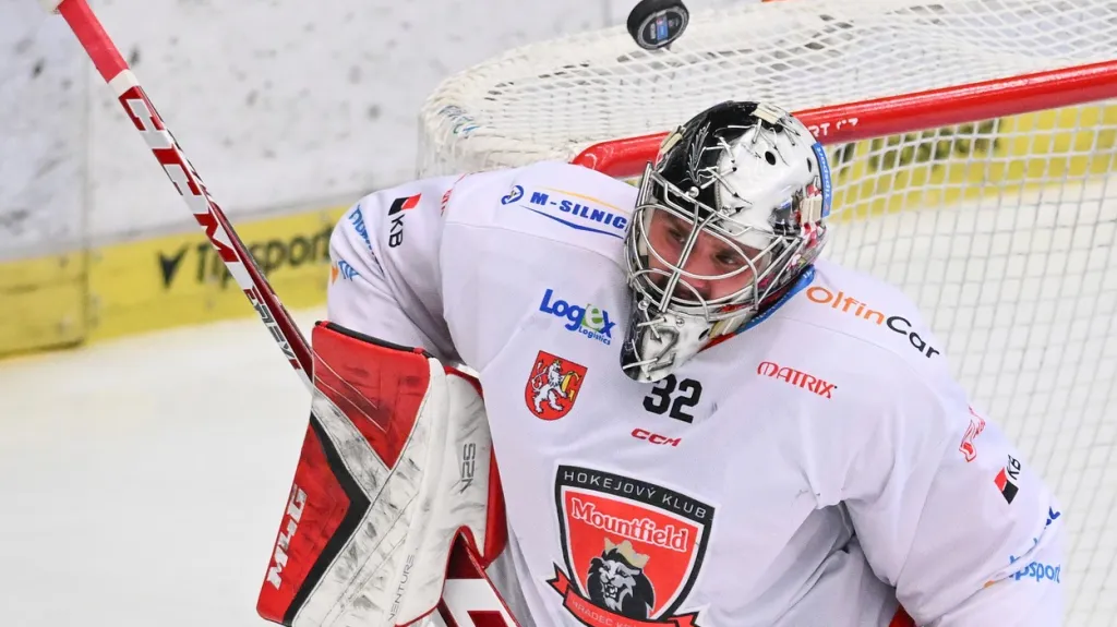 Brankář Patrik Bartošák