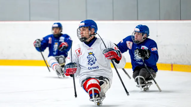 MS v parahokeji mužů 2024 Kanada