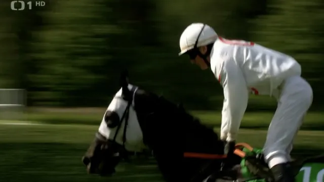 První kvalifikaci na Velkou pardubickou vyhrál Godfrey