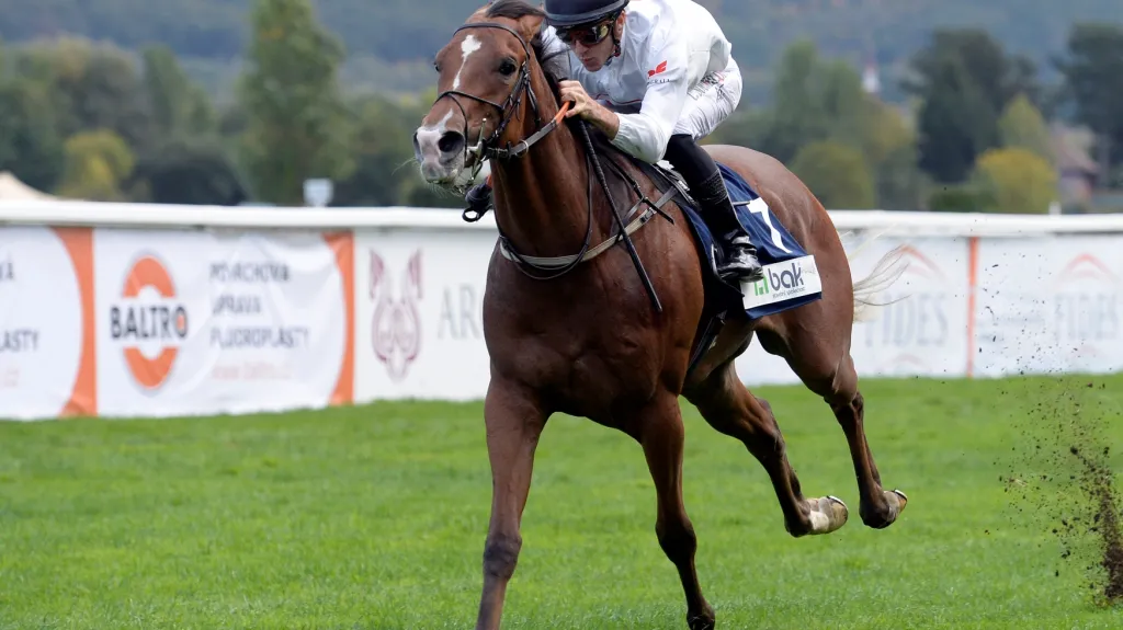 Belgický žokej Christophe Soumillon s koněm Rate