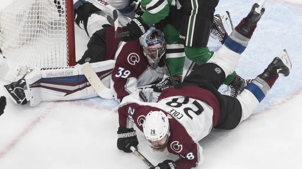 Pavel Francouz proti Dallasu