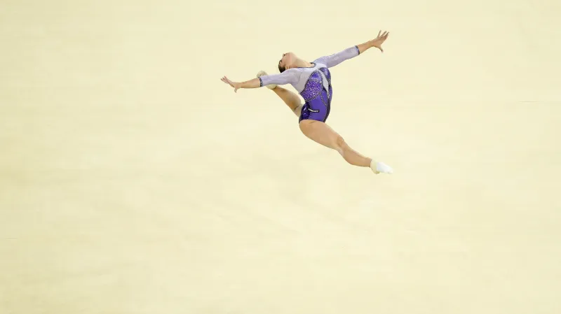 Archiv D: Vzpomínka na slávu