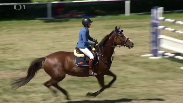 Strnadlová potvrdila dominanci na trávě a obhájila prvenství ve Frenštátu