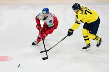 Roman Červenka v utkání proti Švédsku