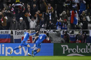 Tomáš Bobček slaví branku v utkání se Severním Irskem