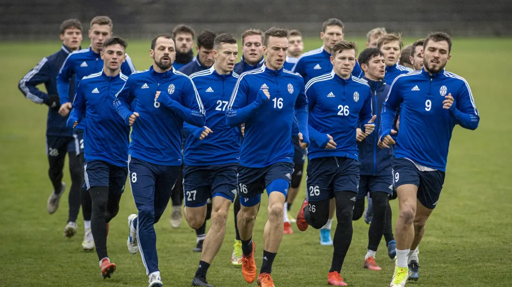 Fotbalisté Mladé Boleslavi
