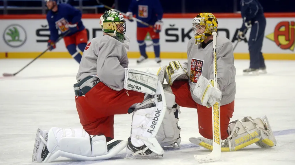 Trénink české reprezentace