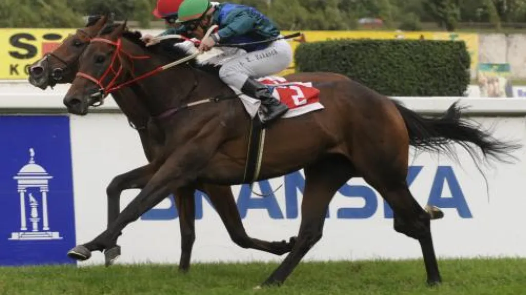 Napínavý doběh St. Legeru