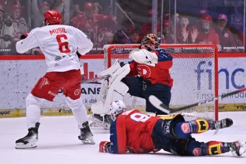 David Musil střílí gól