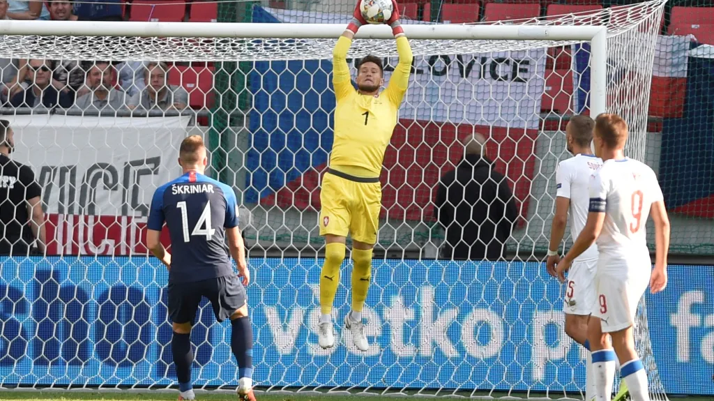 Reprezentační brankář Tomáš Vaclík v zápase proti Slovensku
