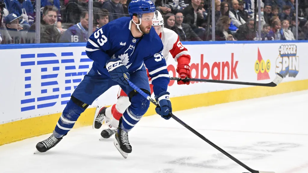 Radim Zohorna v dresu Toronta