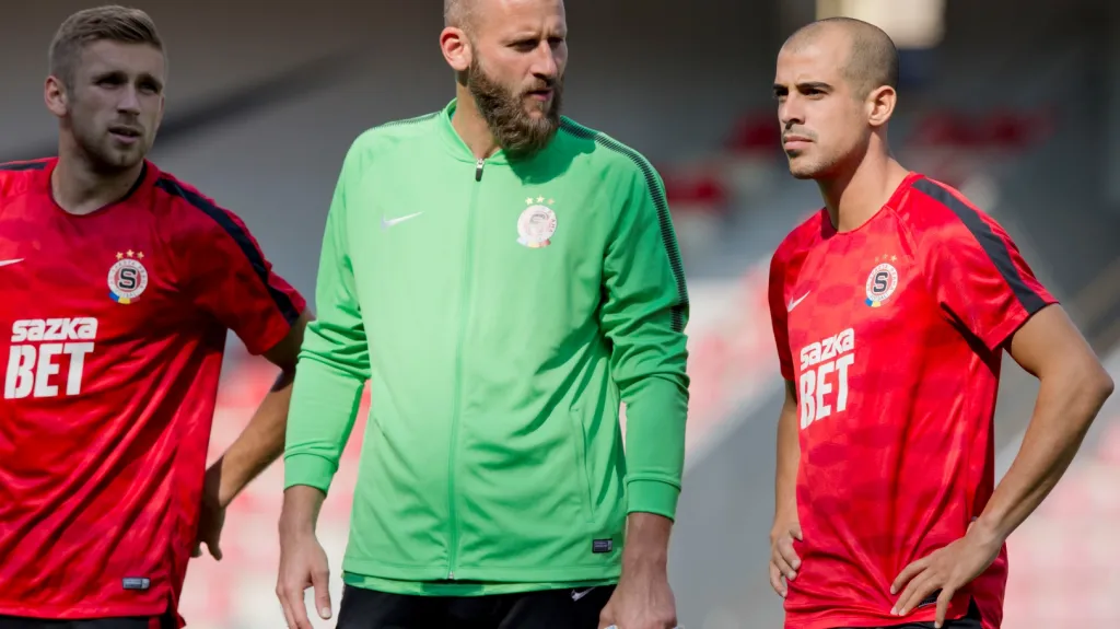 Zprava Tal Ben Chaim, David Bičík a Eldar Čivič