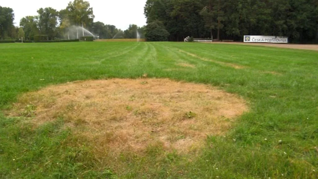 Vypálená tráva na pardubickém závodišti
