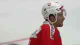 Roman Josi