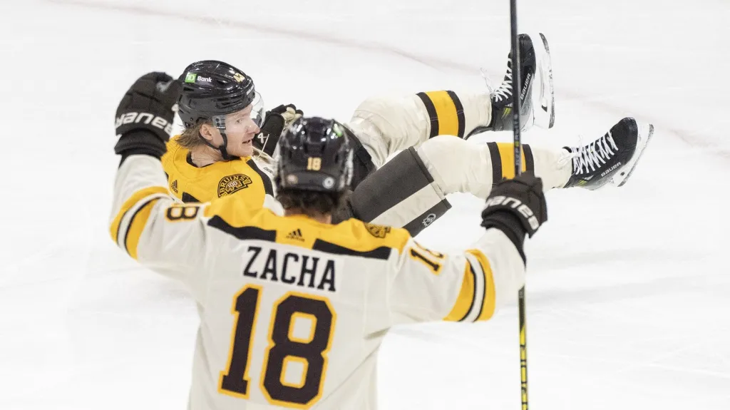 Pavel Zacha
