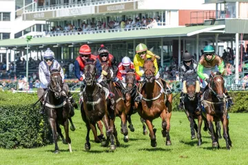 Rovinové dostihy v Pardubicích