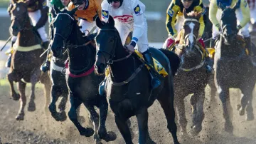 Fenoménka Orphee des Blins