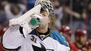 San Jose Sharks