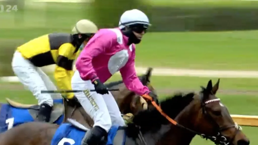 Prvomájovou steeplechase vyhrála Antalgique