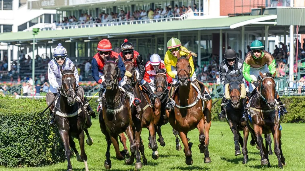 Rovinové dostihy v Pardubicích