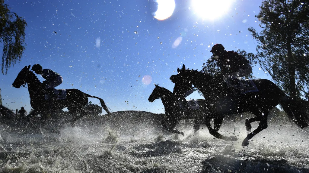 Krása dostihového sportu