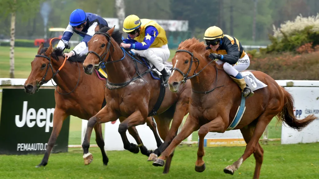 Dostihy v Karlových Varech