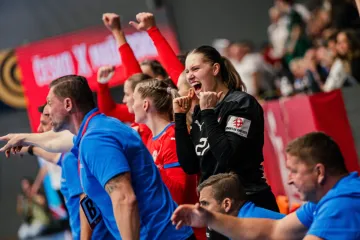 Česká reprezentace házenkářek