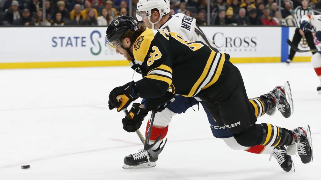 David Pastrňák v utkání s Floridou