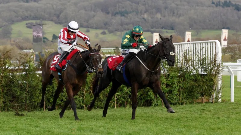 Stumptown (vpravo) během dostihu v Cheltenhamu