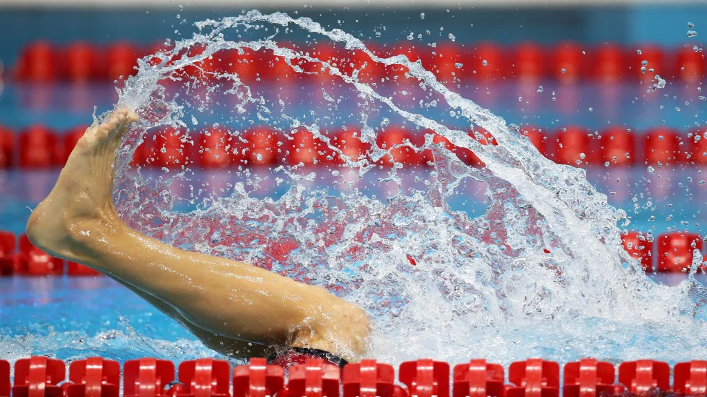 Plavání na Letních olympijských hrách v Londýně 2012