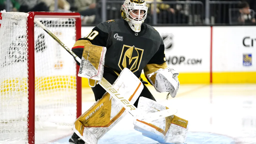 Jiří Patera v brance Vegas