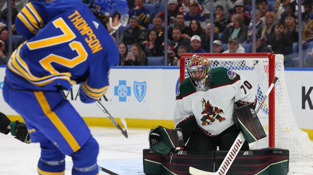 Karel Vejmelka z Arizony (vpravo) v akci během utkání NHL