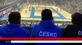 Lvi si s postupovou matematikou lámat hlavy nechtějí