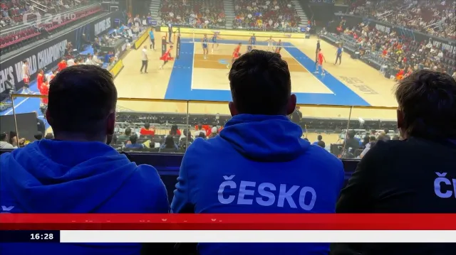 Lvi si s postupovou matematikou lámat hlavy nechtějí