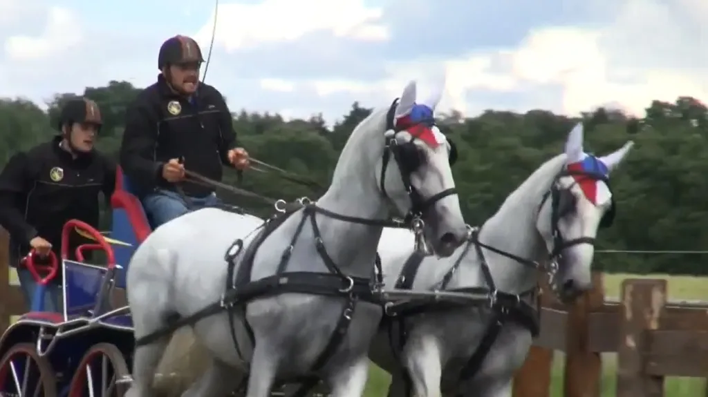 Na nebanických vozatajských závodech se z Čechů zatím nejvíc daří Gösslovi