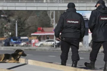 Toulaví psi v Soči mají utrum