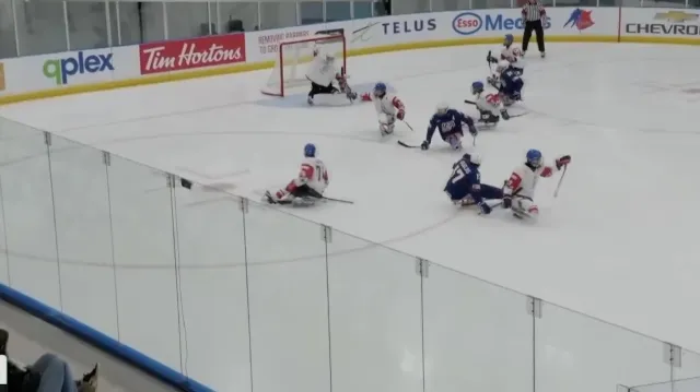 Česká parahokejová reprezentace podlehla Spojeným státům