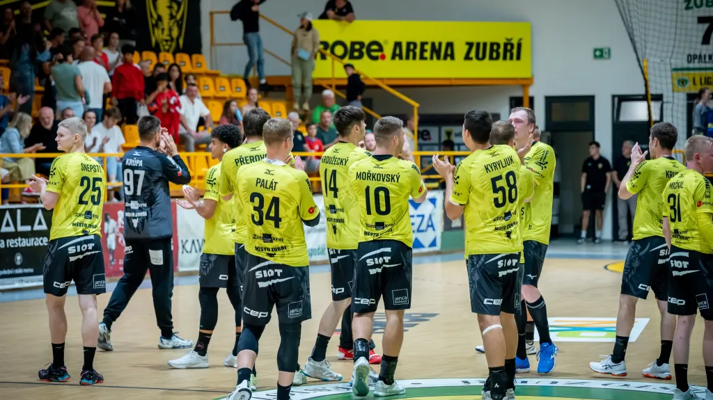 Házenkáři Zubří