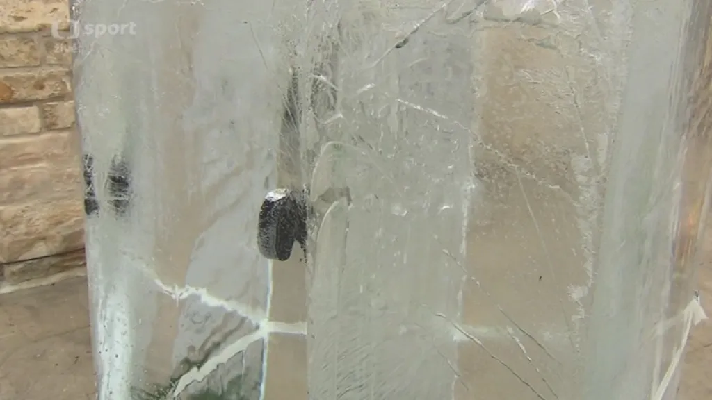 Fanoušci hádali, za jak dlouho vypadne puk zamražený do kostky ledu