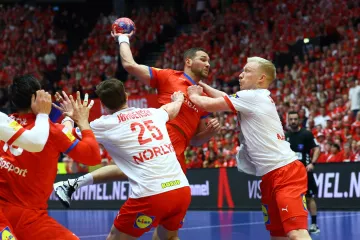 Utkání Česko – Dánsko