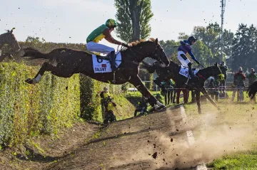 Talent a Dulcar de Sivola skáčou přes Taxis ve Velké pardubické