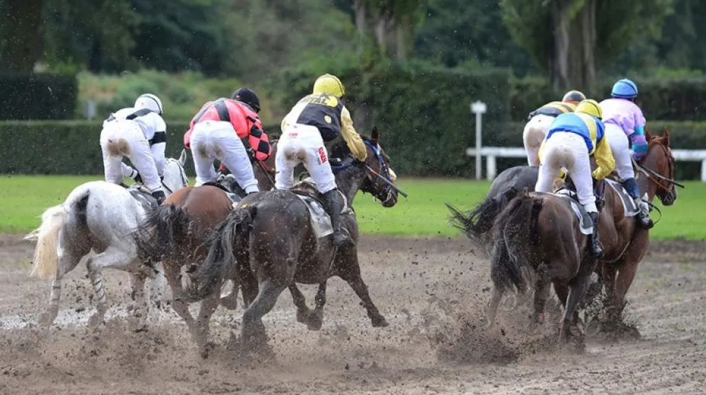 Kvalifikace na Velkou pardubickou