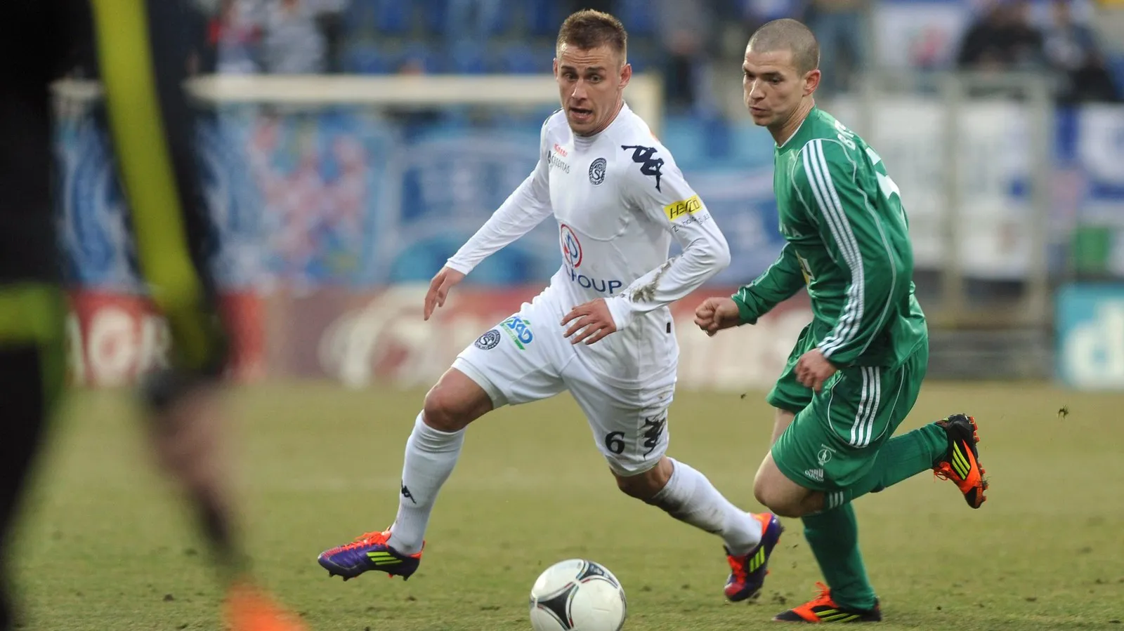 Volešákova simulace