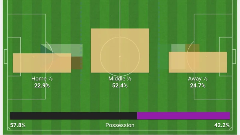 Držení míče a těžiště hry v procentech v utkání Česko – Irsko