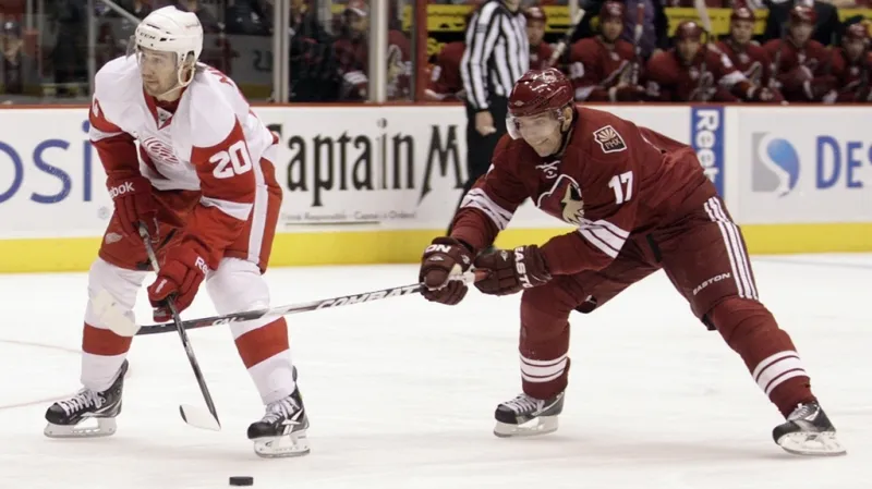 Radim Vrbata v utkání s Detroitem