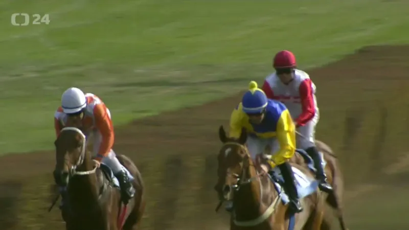 King Archie vyhrál 80. Cenu zimního favorita