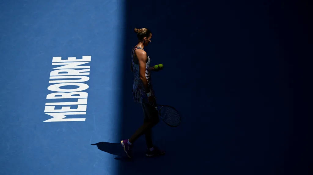 Karolína Plíšková