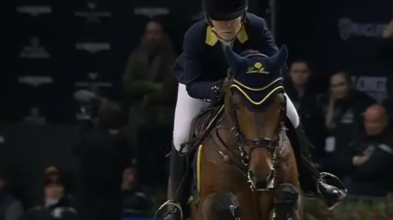 Lions chtějí napravit konec ve čtvrtfinále, už i s členem loňského vítěze